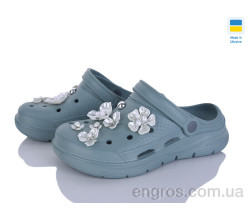 Кроксы Golden Lion